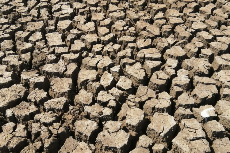 Record Dry Conditions Fuel Severe Drought in Wales, Sparking Global Water Concerns