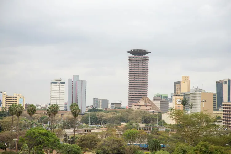 Navigating Fear and Uncertainty: The Impact on Kenyan Diaspora in the United States