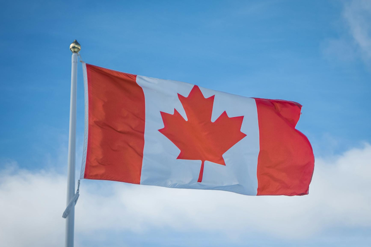 Kenyan Professionals in Canada Respond to Recent Immigration Trends and Challenges