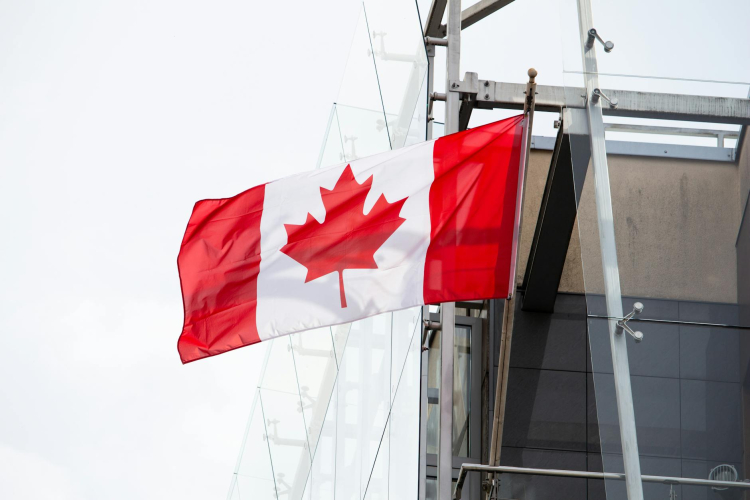 Kenyan Professionals in Canada Face New Immigration Challenges Amid Global Developments