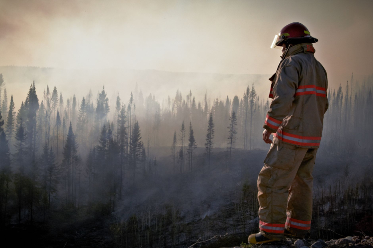 Trump Criticizes Canada Over Wildfires Affecting U.S. Air Quality
