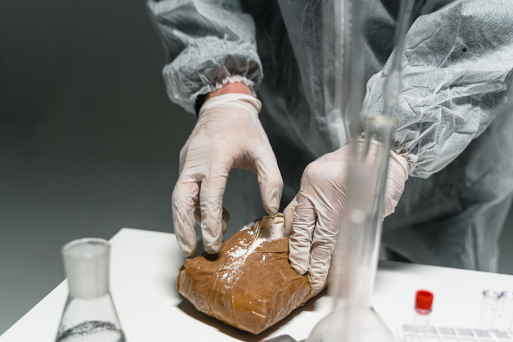 Australia's Largest Cocaine Bust Highlights Growing Global Drug Trafficking Concerns