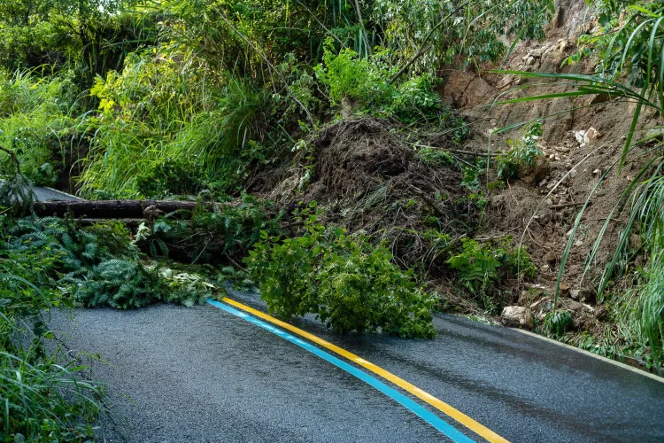Record-Breaking El Niño Phenomenon Disrupts Global Weather Patterns and Agricultural Output