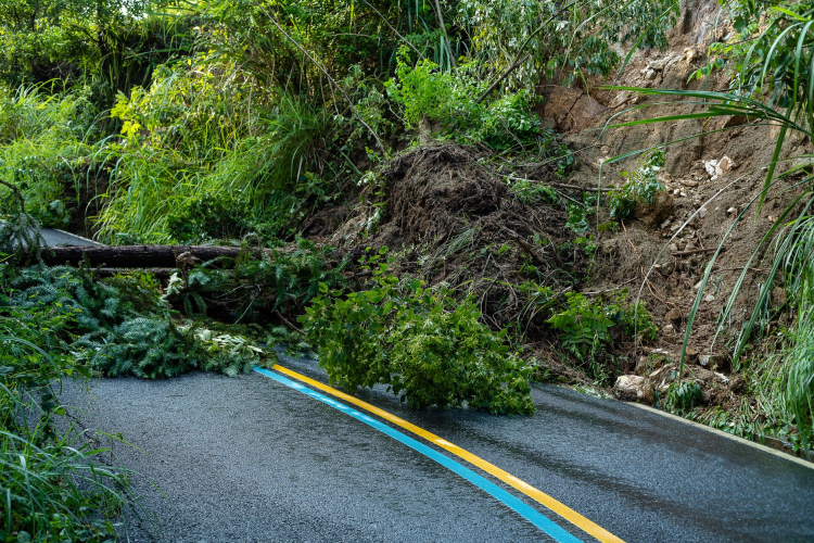 Record-Breaking El Niño Phenomenon Disrupts Global Weather Patterns and Agricultural Output