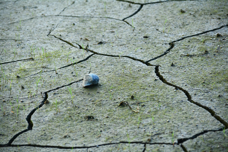 Global Leaders Meet to Address Climate Change Amid Increasing Urgency