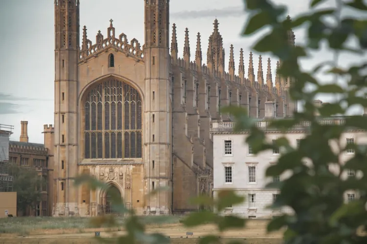 Rooftop Gardens at King's College Hospital: A New Frontier in Patient Recovery