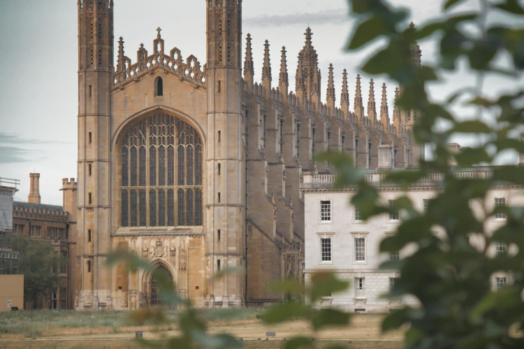 Rooftop Gardens at King's College Hospital: A New Frontier in Patient Recovery
