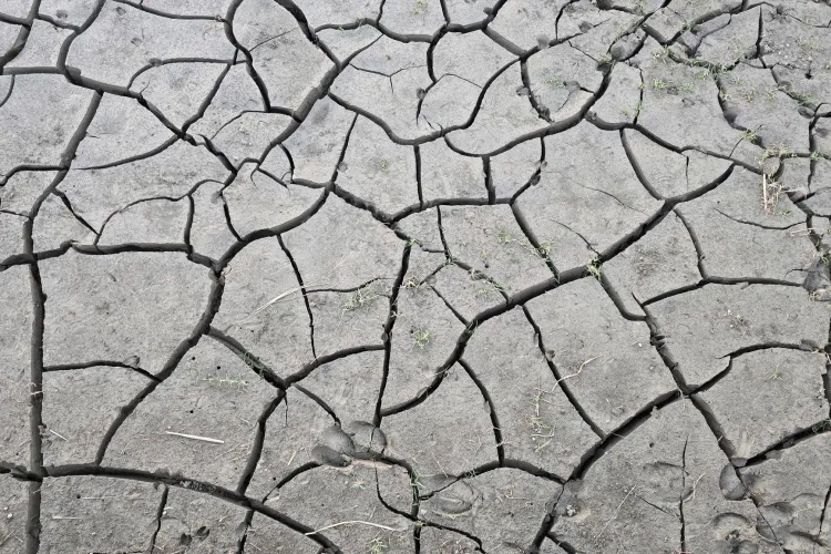 AI Initiative Aims to Curb Aviation’s Climate Impact Through Innovative Trials