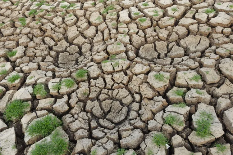 Danube's Record-Low Levels Prompt Regional Energy Concerns Amid Climate Challenges