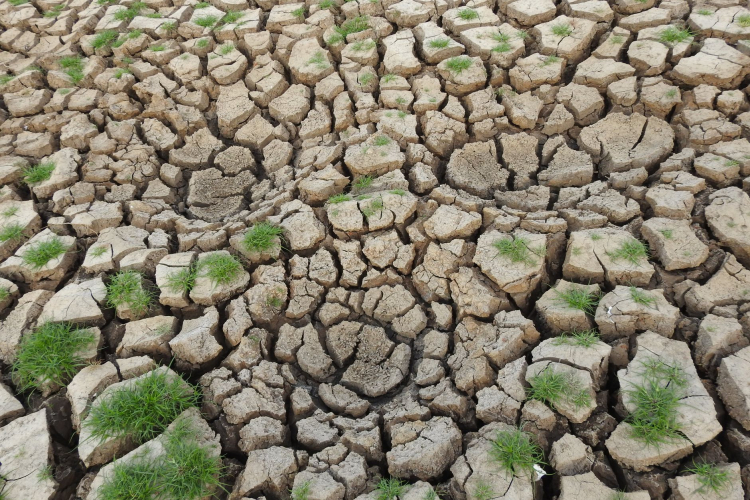 Climate Change Intensifies Extremes: Western Europe Shatters Temperature Records