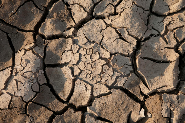 COP30: Global Climate Summit Faces Scrutiny Amid Key Leaders' Absence