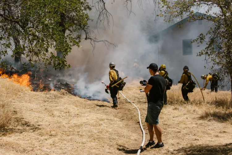 Spain and France Brace for Severe Heatwaves as Wildfires Rage Near Bordeaux