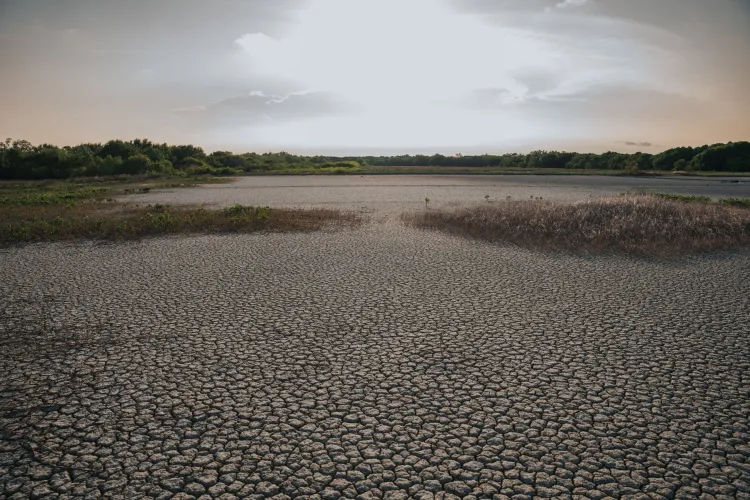 Europe's Record Heatwave Exposes Severe Climate Vulnerabilities