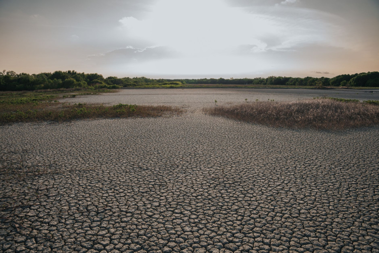 Europe's Record Heatwave Exposes Severe Climate Vulnerabilities