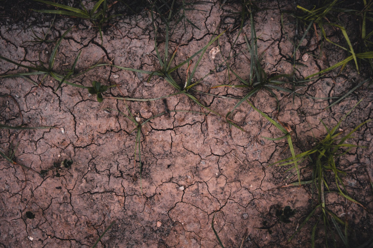 Record Heatwave in UK Sparks Global Concerns Over Climate Change Impacts