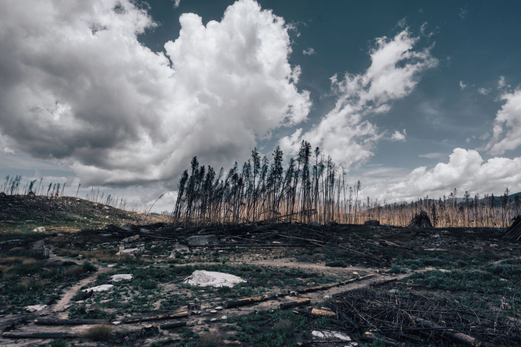 Impending El Niño Threatens to Intensify Global Climate Challenges