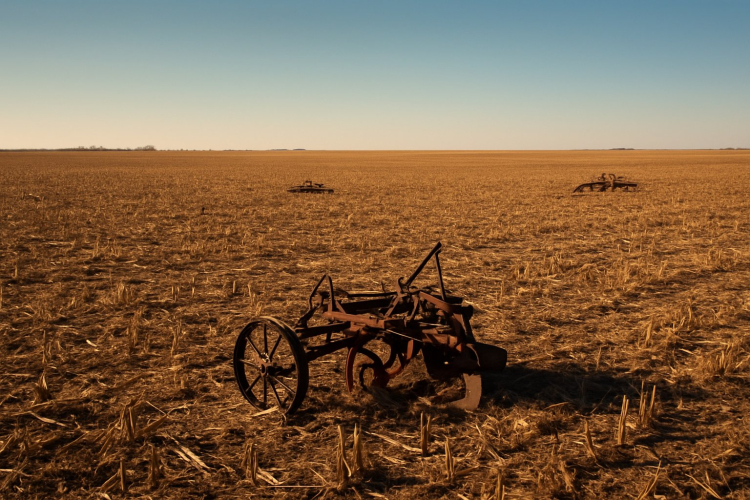 Sudan's Farmers Ready to Return Amidst Devastated Economy