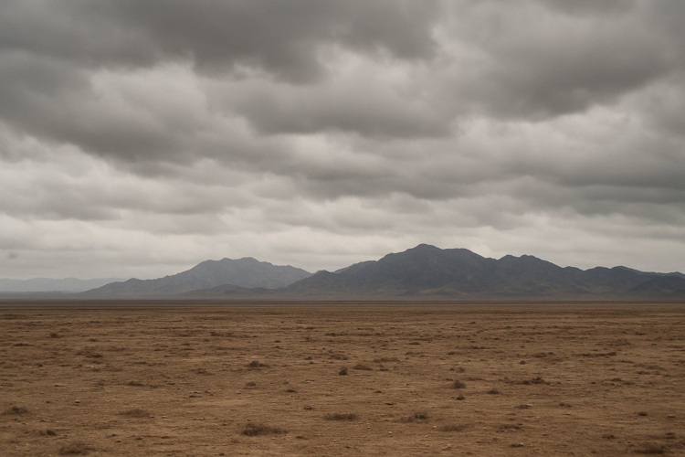 Ethiopia and Eritrea Cut Diplomatic Ties as Northern Conflict Escalates