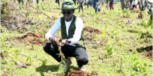 Kenyan Environmentalist Targets World Record with 24,000 Trees in 24 Hours