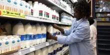 Kenya’s Milk Supplies Fall 3.7% as Dry Weather Cuts Production