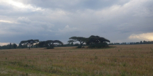 Why More Kenyan Women Are Buying Land