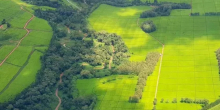 Kenyan Landowners Must Provide Clear Evidence to Challenge Fraudulent Transfers, Court Says