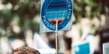 Future Generations at Risk as Global Tree Planting Efforts Lag Behind Targets