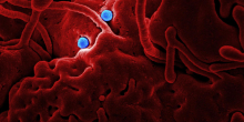 Ebola Outbreak Worsens as Scientists Rush to Test New Treatments
