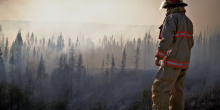 Trump Criticizes Canada Over Wildfires Affecting U.S. Air Quality