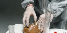 Australia's Largest Cocaine Bust Highlights Growing Global Drug Trafficking Concerns