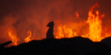 Fire Devastates Bangladesh's Kutupalong Refugee Camp, Displacing Thousands