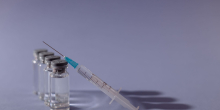 Bird Flu Vaccine Trial Launches Amid Global Concerns Over H5N1 Strain