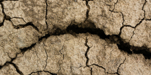 Severe Drought in the UK Raises Global Concerns Over Water Scarcity