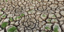Climate Change Intensifies Extremes: Western Europe Shatters Temperature Records