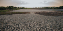 Europe's Record Heatwave Exposes Severe Climate Vulnerabilities