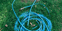 UK Enforces Hosepipe Ban Amid Severe Drought, Raising Global Water Management Concerns