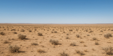 Surge in Hunger: 2.7 Million Kenyans Now Facing Food Insecurity