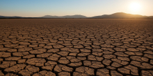Severe Drought Impacts Farmers and Drives Up Food Prices in Kenya