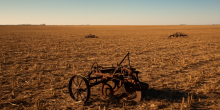 Sudan's Farmers Ready to Return Amidst Devastated Economy