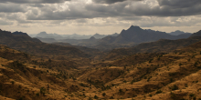 Ethiopia: In-Depth Analysis - Armed Groups' Alignment Stretches Across Ethiopia - Ola Demands Fano Distance Itself From Wollega Faction. Why Both Matter