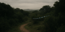Ninth Woman's Body Discovered Amid Ongoing Investigations in South Africa