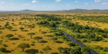 UN votes to adopt new world map to reflect Africa's true size
