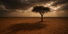 Sudan: Women Detained in Nyala, South Darfur - a Call to Protect Detainees' Rights