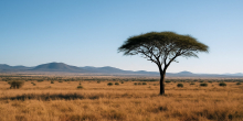Murkomen Commits to Eradicating Banditry in Kenya