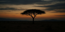 Kenya: KNCHR Warns Enforced Disappearances Remain a 'Continuing' Human Rights Crisis in Kenya