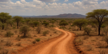 Annual Snakebite Death Toll in Kenya Reaches 1,000, Highlights Urgent Health Issue