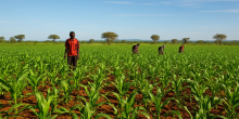 Unlocking Agricultural Potential: The Role of Gen Z in Shaping Kenya's Future