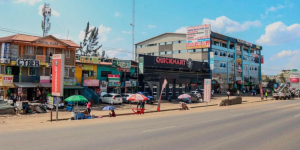 Mystery Deaths of 11 Cats and Dogs Spark Poisoning Fears in Utawala Estate