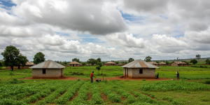 Why More African Retirees Are Choosing Cities Over Rural Homes