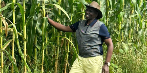 Ruto: Even My Maize Was Wiped Out by Drought